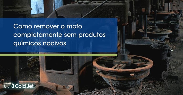 Como remover o mofo completamente sem produtos químicos nocivos