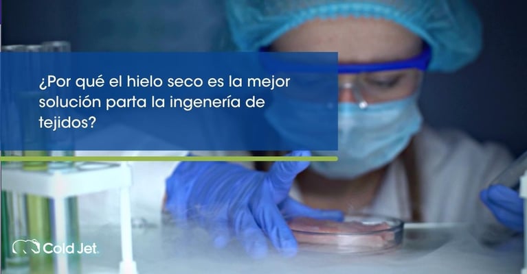 ¿Por qué el hielo seco es la mejor solución para la ingeniería de tejidos?