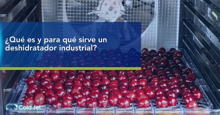 ¿Qué es y para qué sirve un deshidratador industrial?